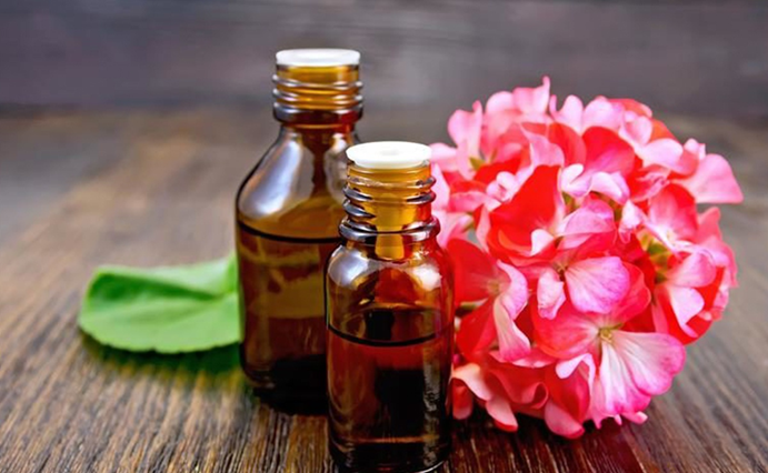 Five little known geranium oil benefits
