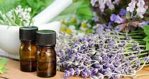 Using Thca Flowers For Homeopathic Healing Remedies