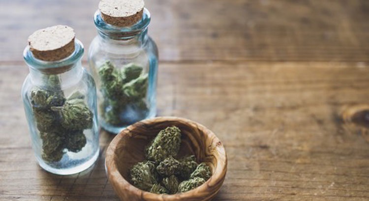 Elf THC – Blending flavor, quality, and experience in one hit?