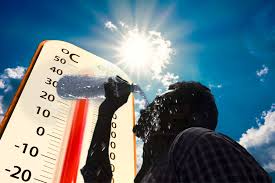 From Droughts to Blackouts: The Wider Effects of Excessive Heat