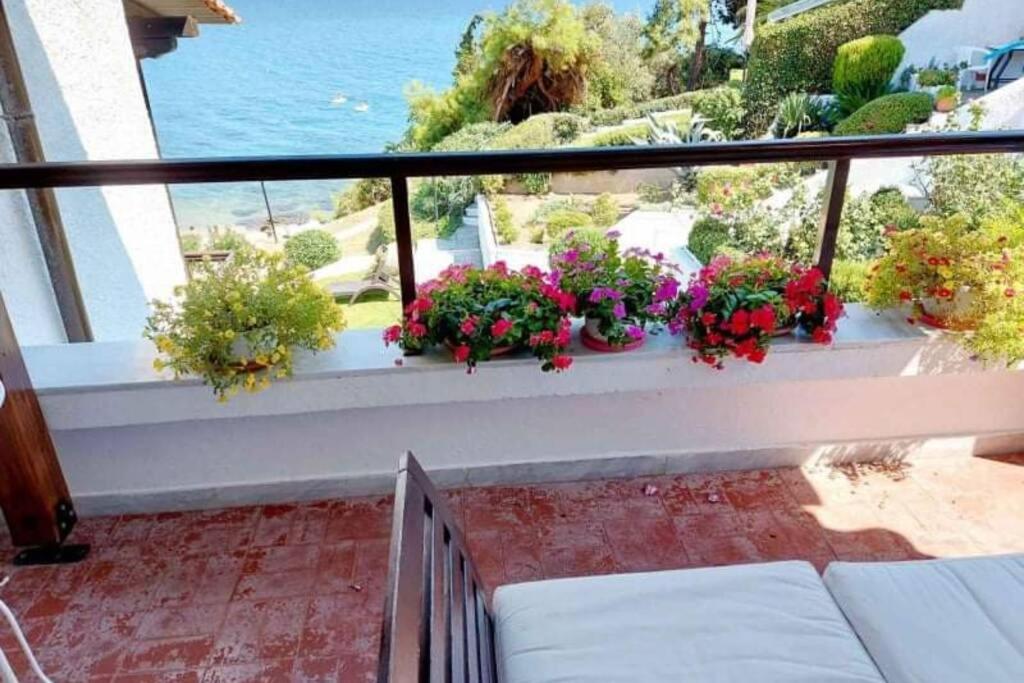 Discover Dreamy Summerhouses on the Market Right Now