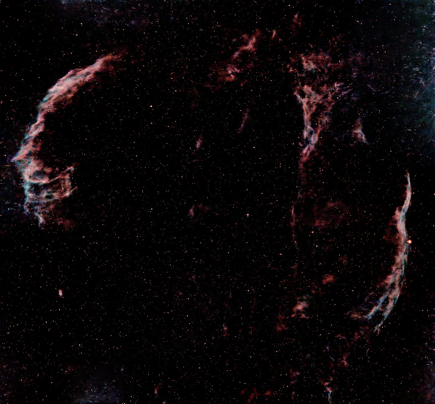 Five Supernovas